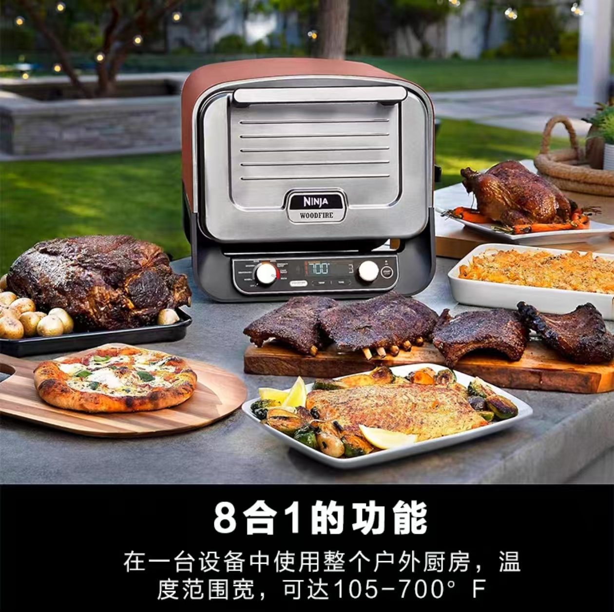 2026 Outdoor Pizza Oven for El - Home Cooking Electric ulasan dan harga